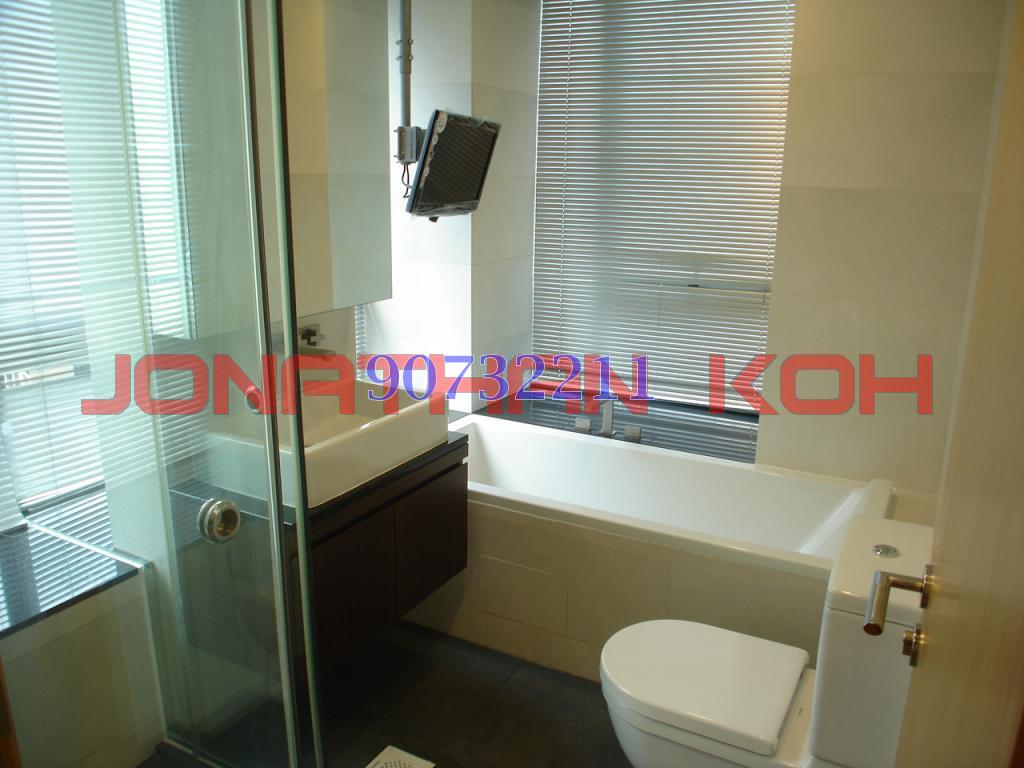 Iridium (D11), Apartment #85255382